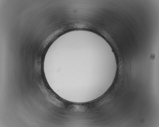 X0000114410442200911131432