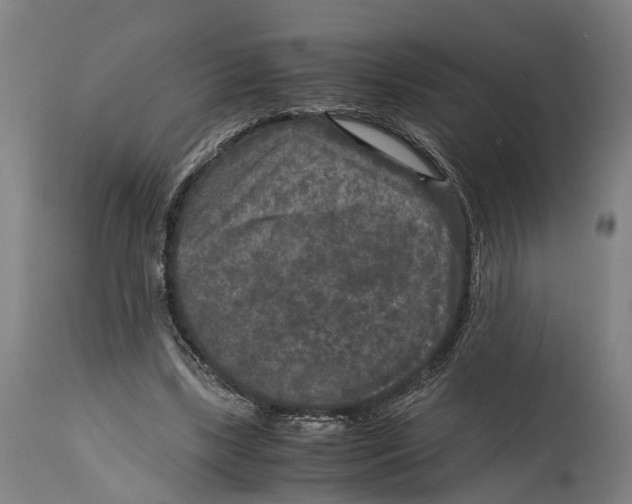 X0000114410443200911131432