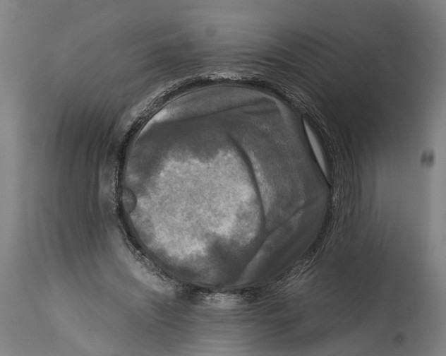 X0000114410444200911131432