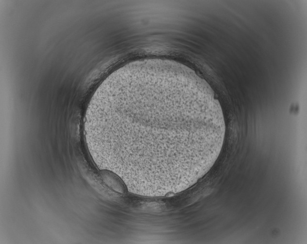 X0000114410446200911131432