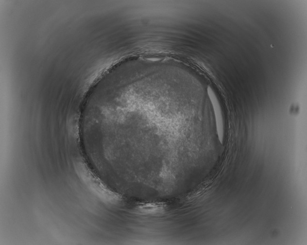 X0000114410447200911131432