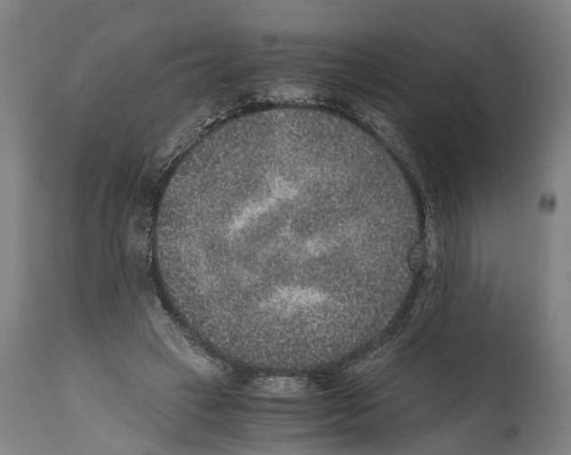 X0000114410449200911131432