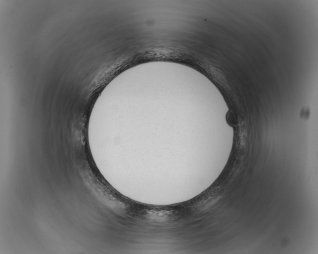 X0000114410450200911131432