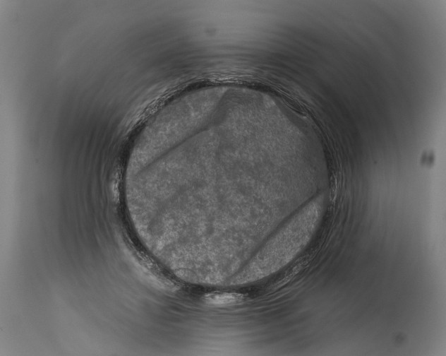 X0000114410452200911131432