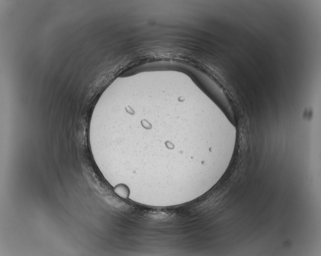 X0000114410453200911131432