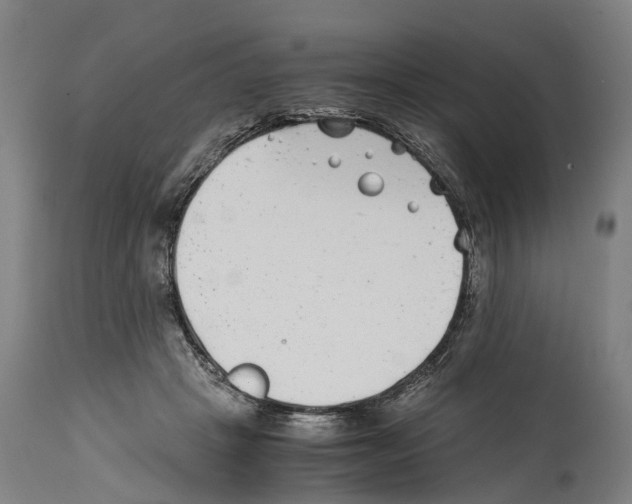 X0000114410457200911131432