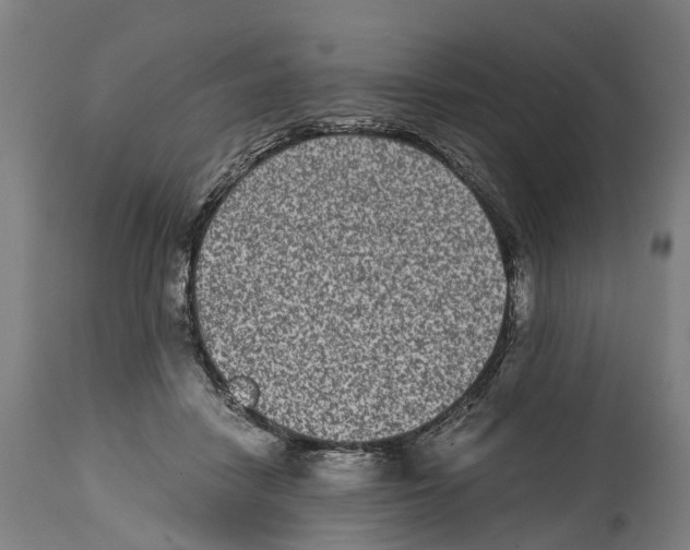 X0000114410458200911131432