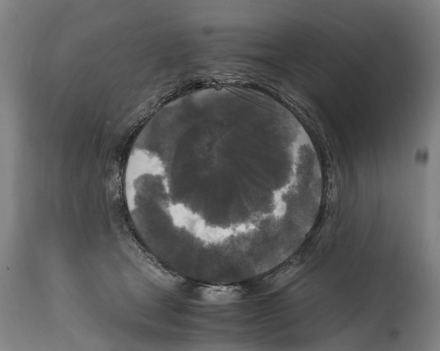 X0000114410465200911131432