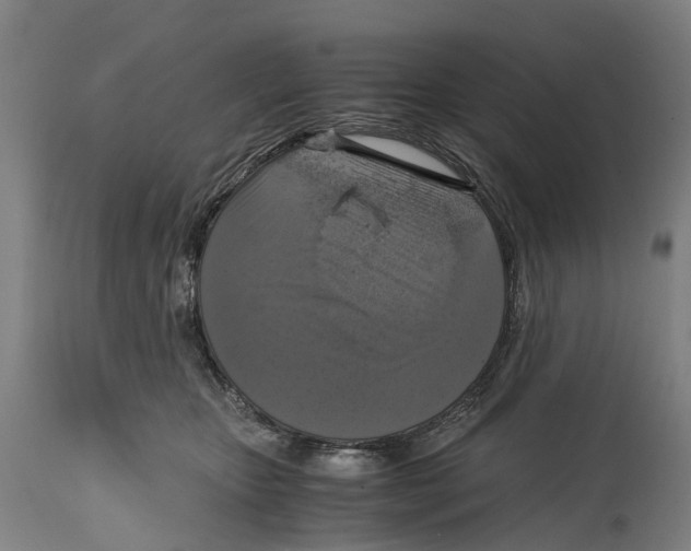 X0000114410467200911131432