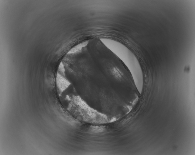 X0000114410469200911131432