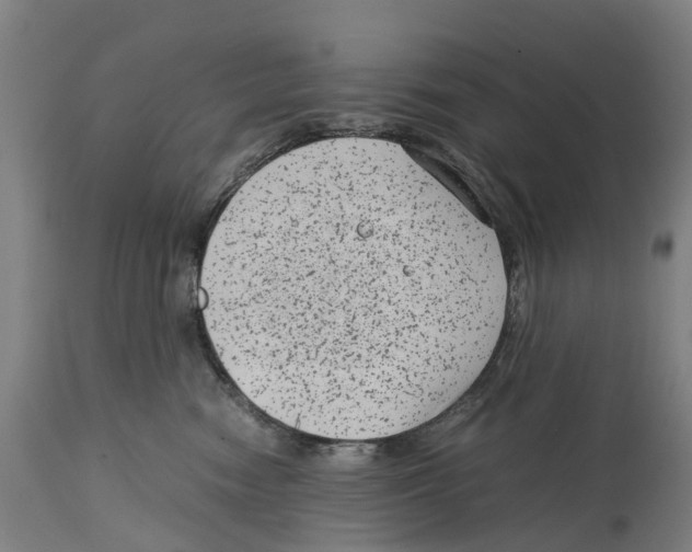 X0000114410474200911131432