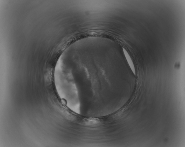 X0000114410475200911131432