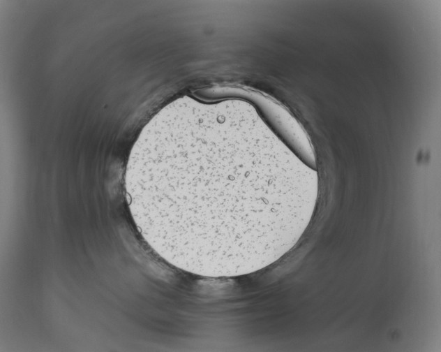 X0000114410480200911131432