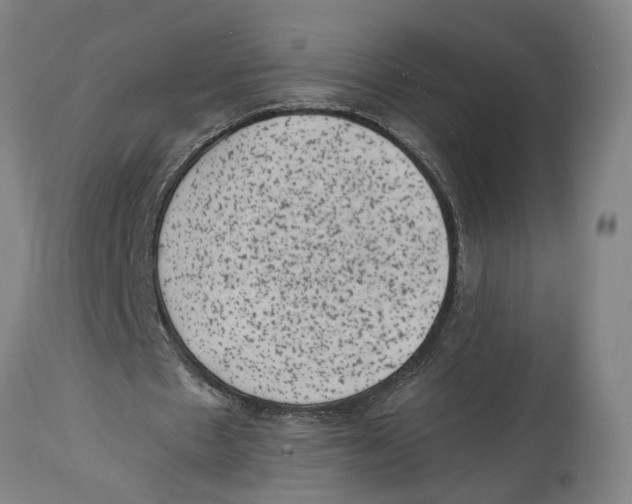 X0000114410481200911131432