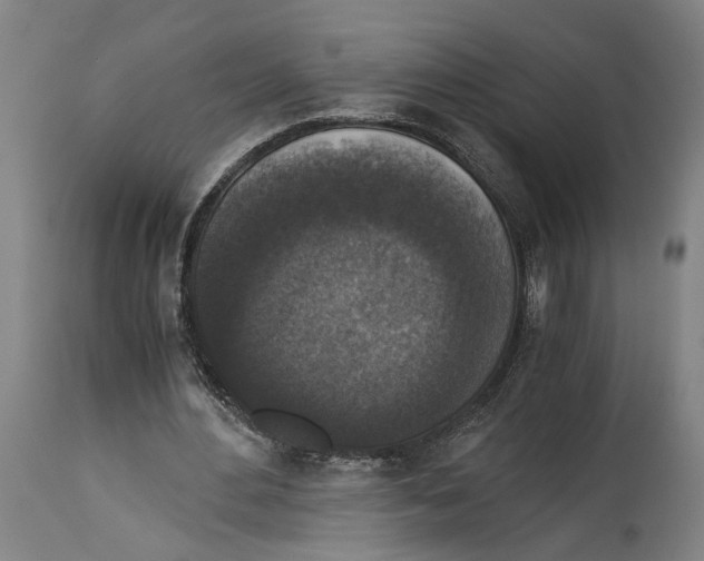 X0000114410484200911131432