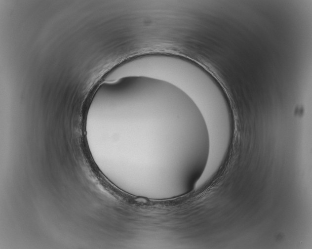 X0000114410485200911131432