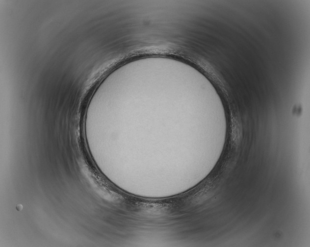 X0000114410486200911131432