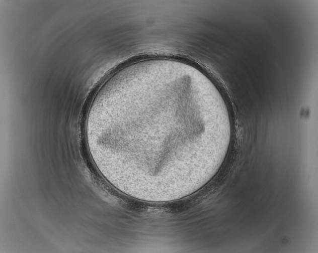 X0000114410487200911131432