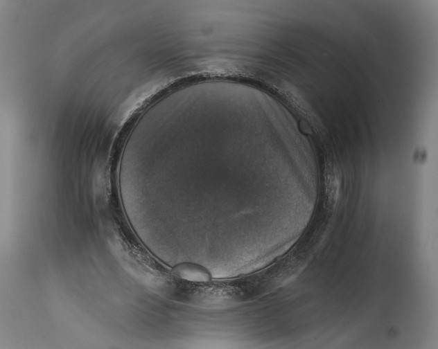 X0000114410488200911131432