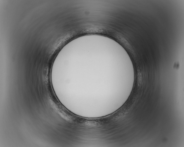 X0000114410490200911131432