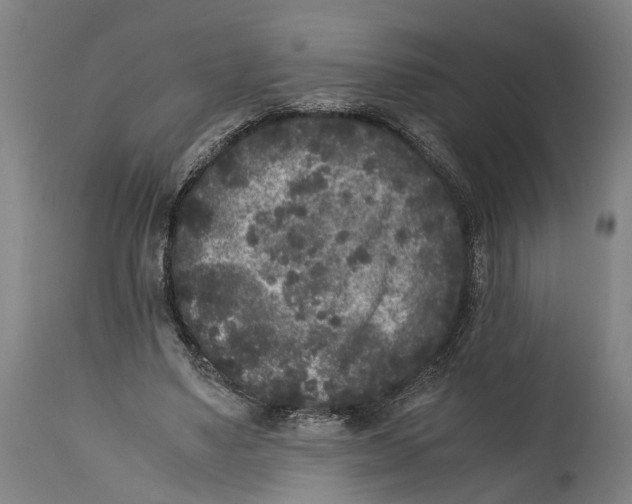 X0000114410491200911131432