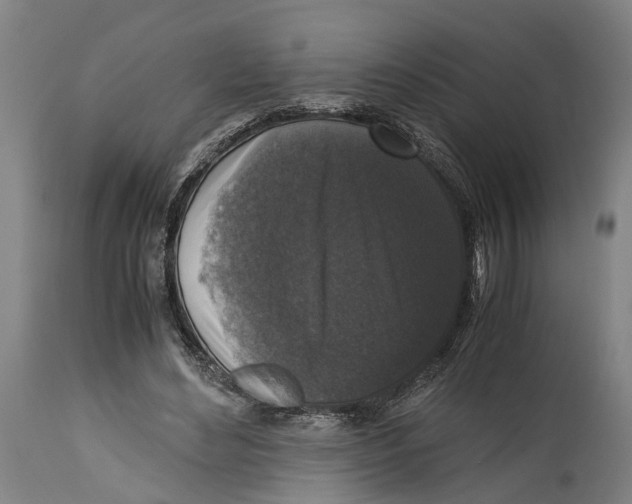 X0000114410492200911131431