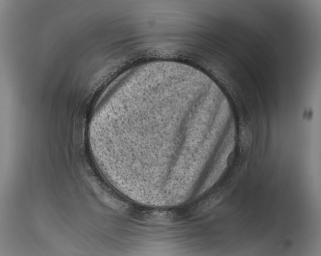 X0000114410493200911131431