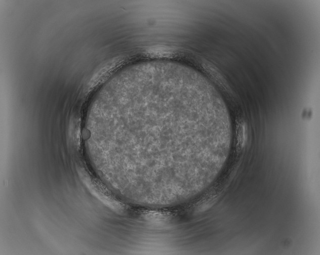 X0000114410494200911131431