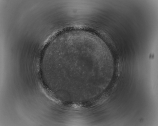 X0000114410496200911131431