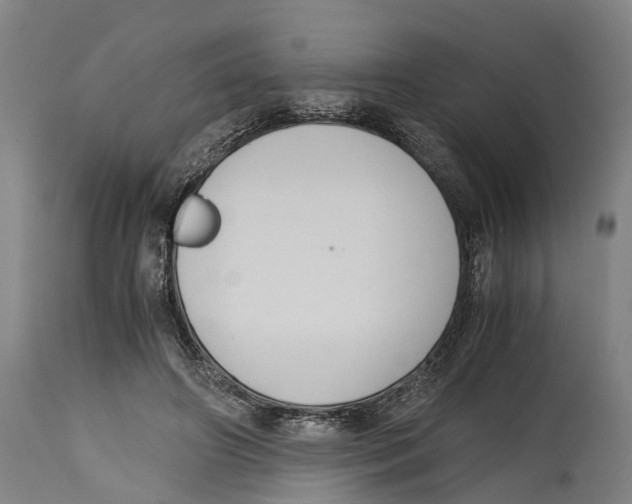 X0000114410498200911131431