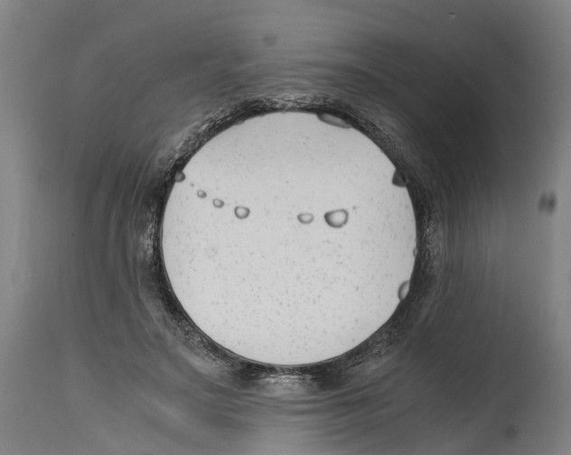 X0000114410499200911131431