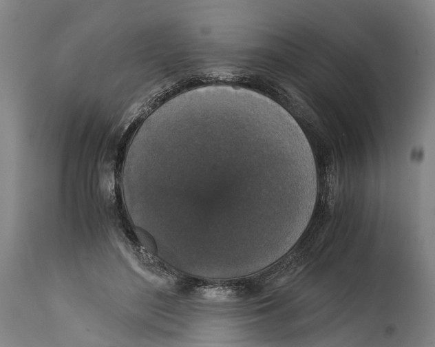 X0000114410500200911131431