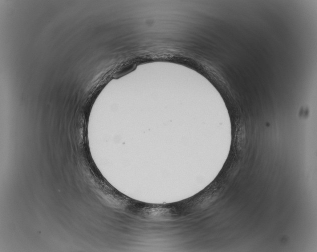 X0000114410501200911131431