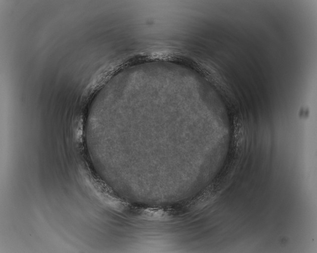 X0000114410502200911131431