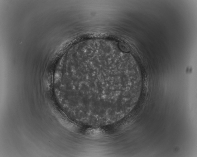 X0000114410503200911131431