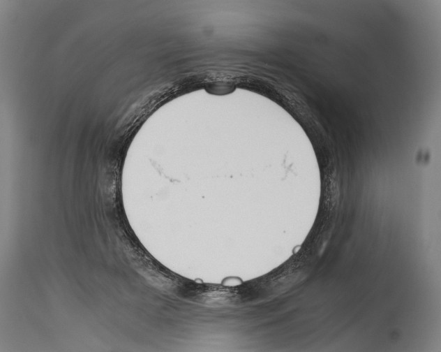 X0000114410505200911131431