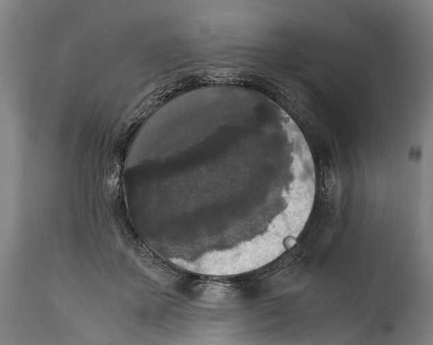 X0000114410507200911131431