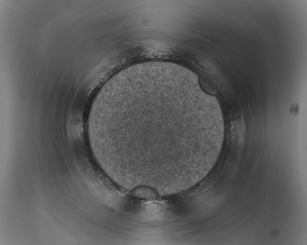 X0000114410508200911131431