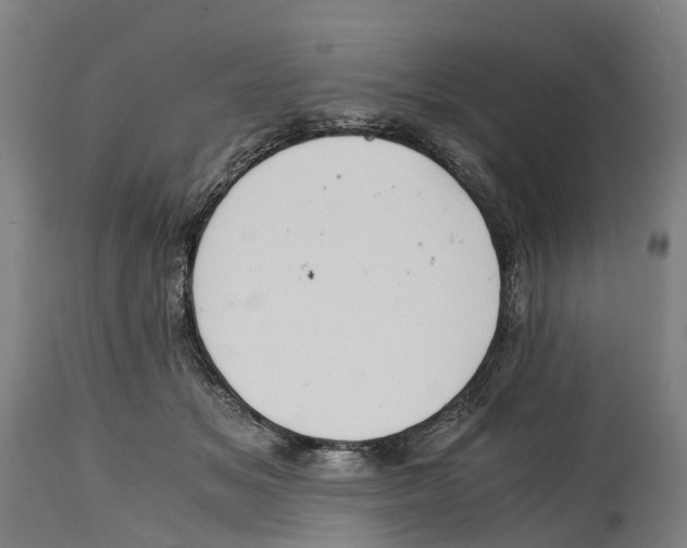 X0000114410509200911131431