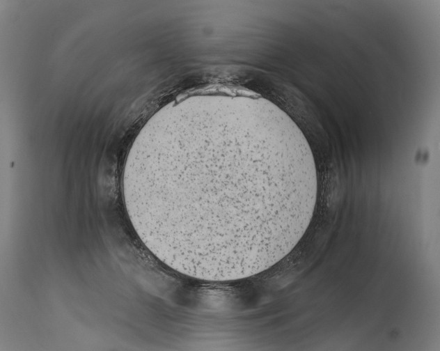 X0000114410510200911131431