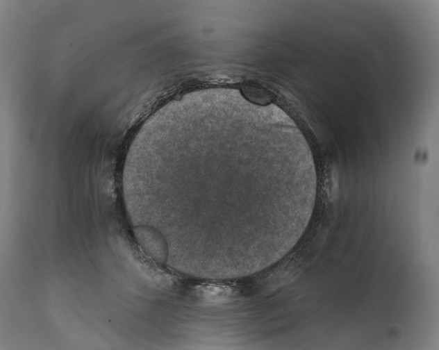 X0000114410512200911131431