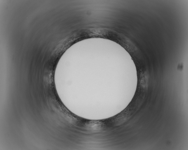 X0000114410514200911131431