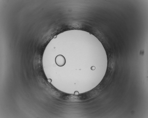 X0000114410518200911131431