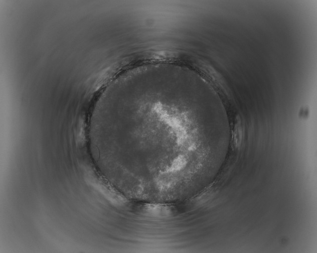 X0000114410520200911131431