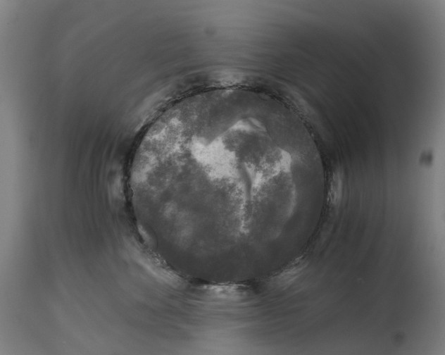 X0000114410524200911131431