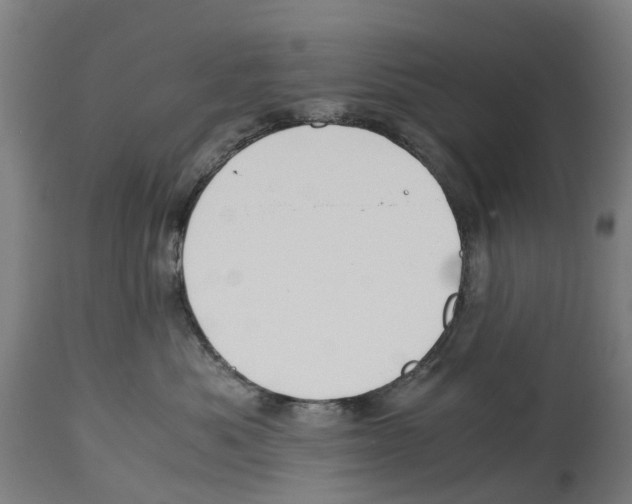 X0000114410525200911131431