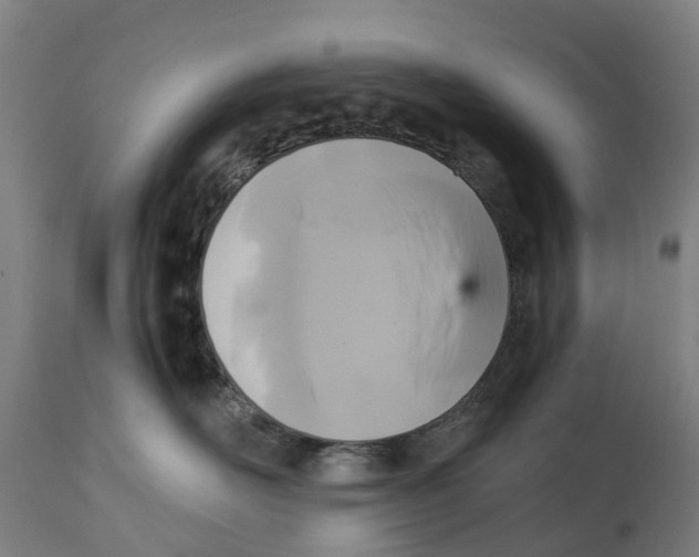 X0000114410526200911131431