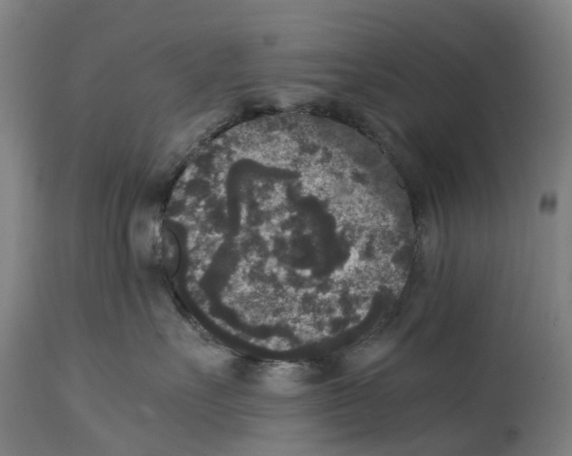 X0000114410527200911131431