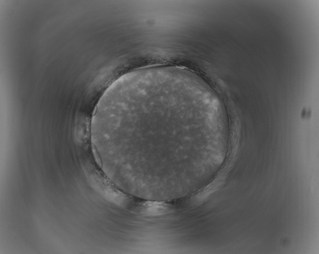 X0000114410528200911131431