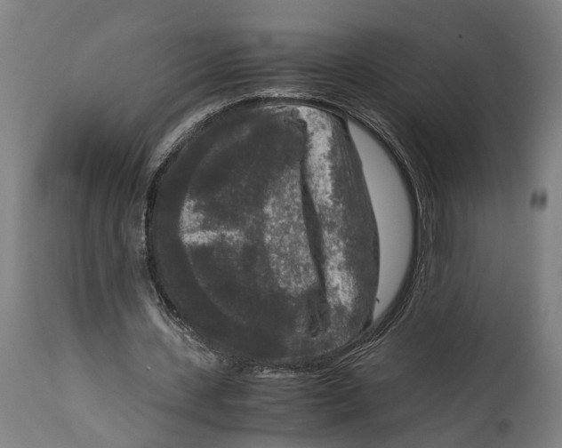 X0000114410531200911131430